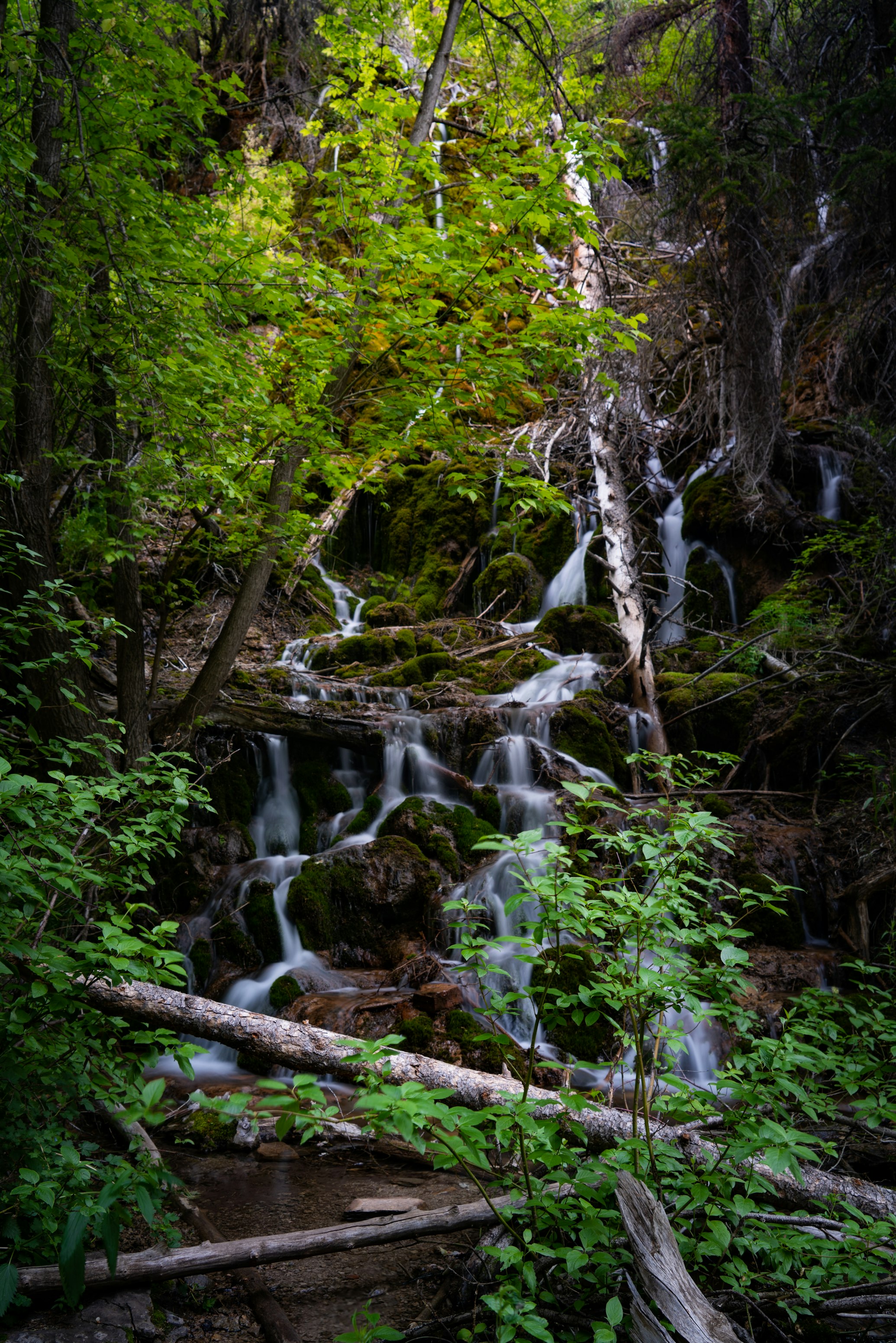 20 Minutes Up the Pass: Your Guide to Green Mountain Falls, Colorado's Most Overlooked Mountain Town