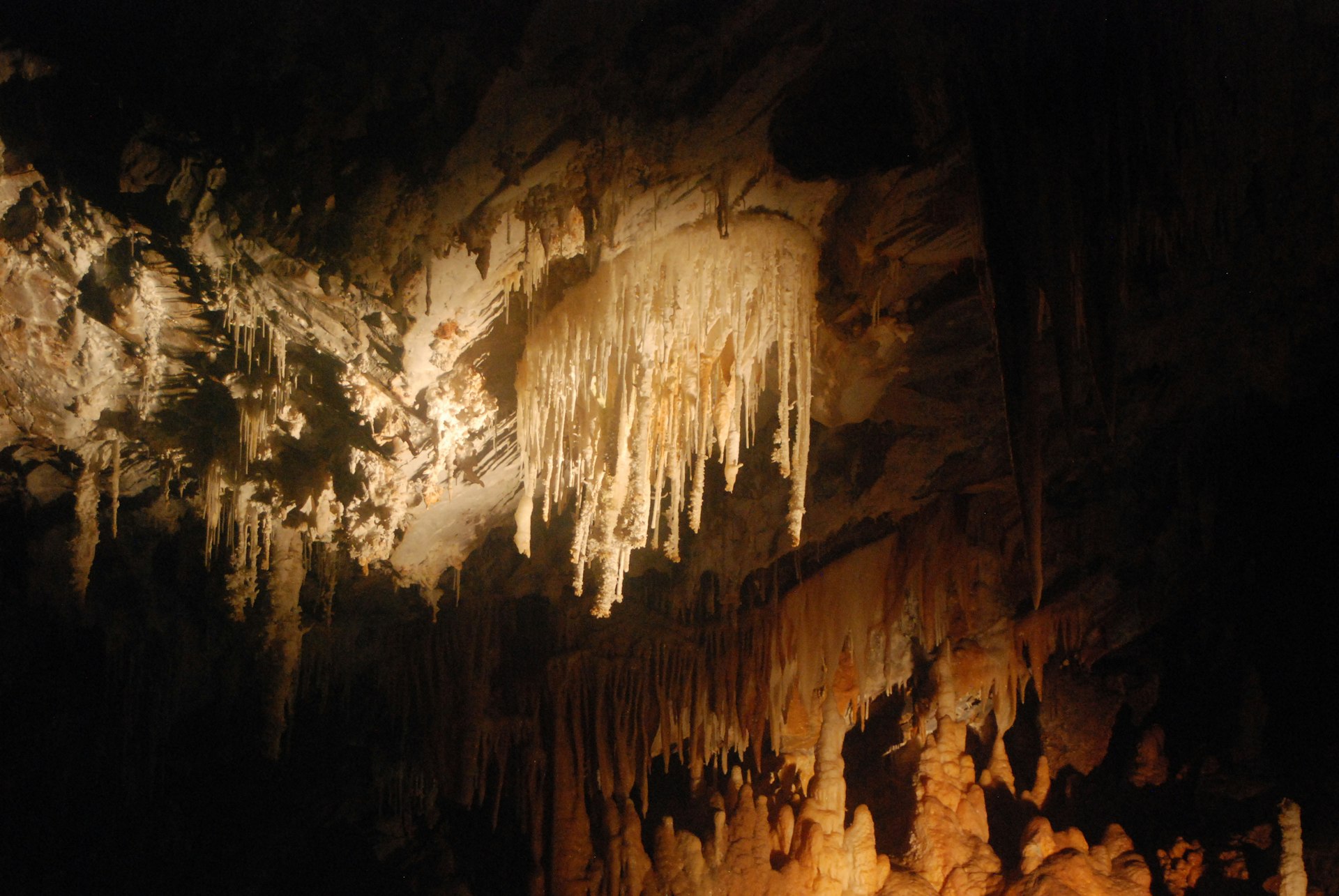 Underground Colorado: Your Complete Guide to Cave of the Winds Mountain Park