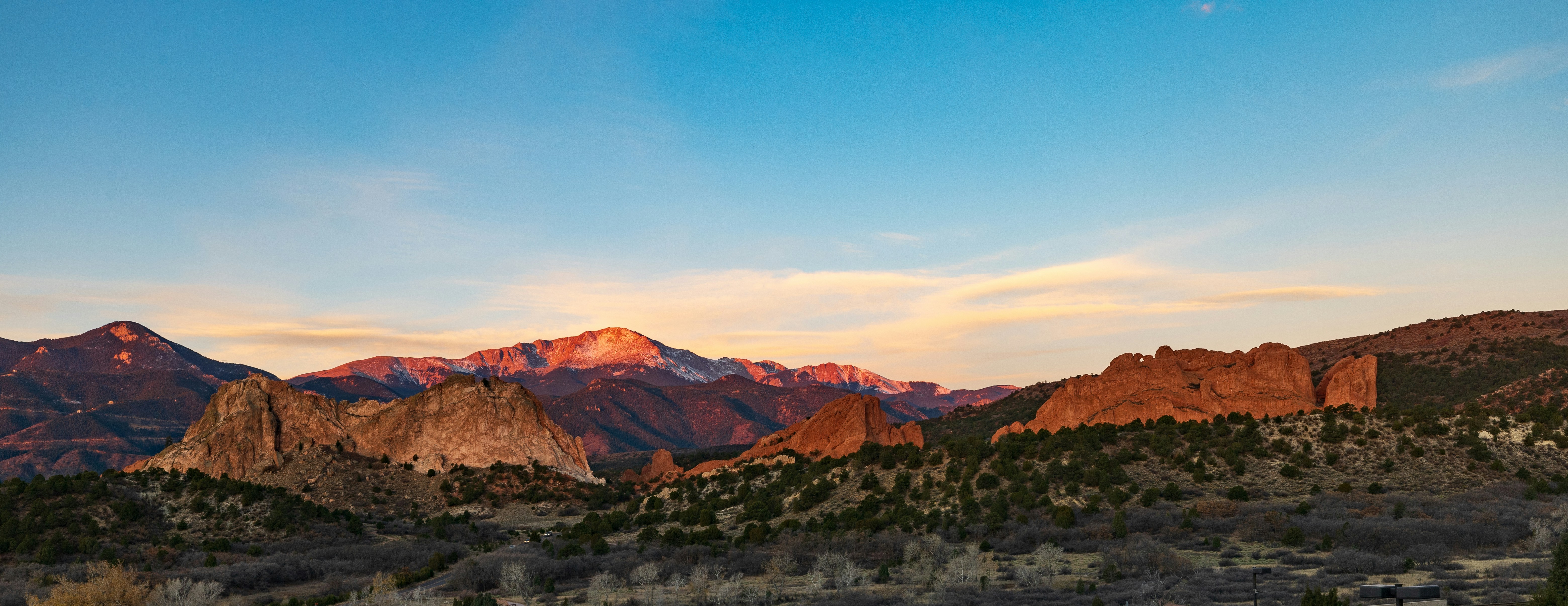 Mueller State Park: The Wildlife Wilderness Day Trip Most Pikes Peak Visitors Miss