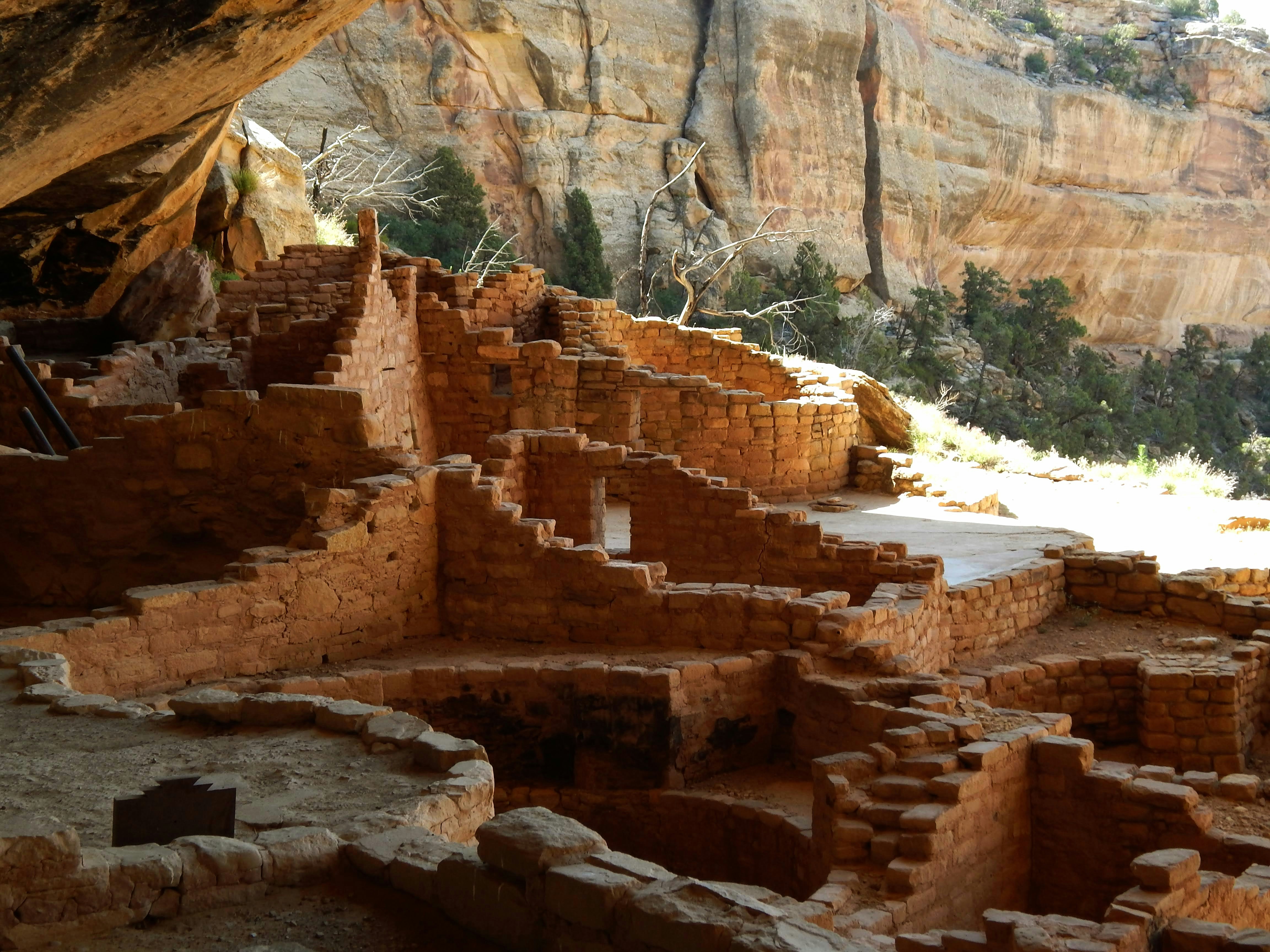Ancient Colorado: Your Complete Guide to the Manitou Cliff Dwellings
